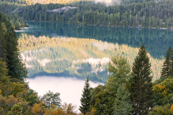 Lake Tovel
Europe, Italy, Trentino region, Trento district, Ville Anaunia, Anaunia, Tuenno city, Non valley
