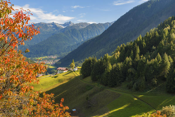 Autumn in Pejo valley
Europe, Italy,Trentino region, Trento district, Pejo valley, Sun valley, Comasine city
