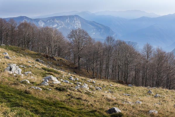 view from Mount Baldo
Europe, Italy, Trentino Alto Adige, Trento district