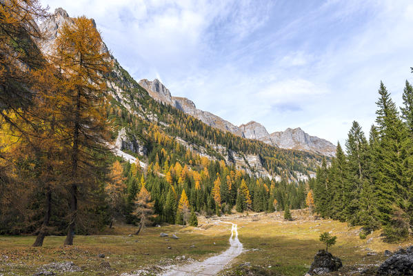 Mountain road towards Pozzoi alm
Europe, Italy, Trentino Alto Adige, Trento district, Ville d'Anaunia, Non valley