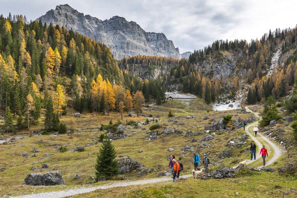 Walking tourists at the Pozzoi mountain range
Europe, Italy, Trentino Alto Adige, Trento district, Non Valley, Ville d'Anaunia