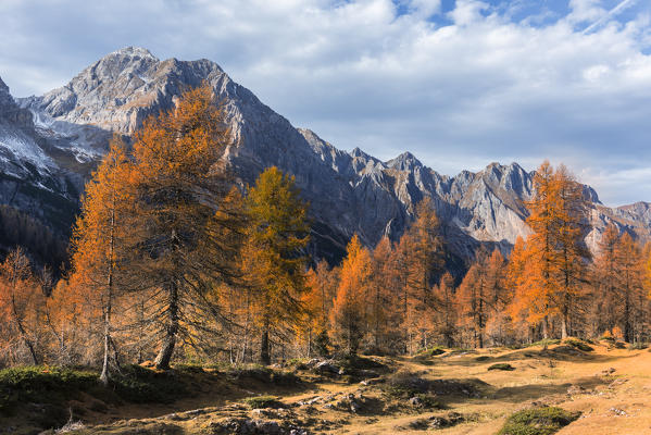 Alpine landscape in autumn
Euorpe, Italy, Trentino Alto Adige, Trento district, Non valley, Ville d'Anaunia