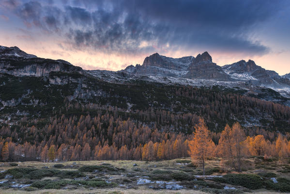 Natural Park Adamello Brenta at sunset
Europe, Italy, Trentino Alto Adige, Trento district, Non valley, Ville d'Anaunia