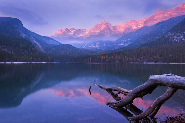 Tovel at sunrise
Europe, Italy, Trentino Alto Adige, Trento district, Ville d'Anaunia municipality, Natural park Adamello Brenta