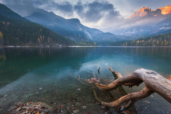 Lake Tovel at sunrise
Europe, Italy, Trentino Alto Adige, Trento district, Ville d'Anaunia municipality