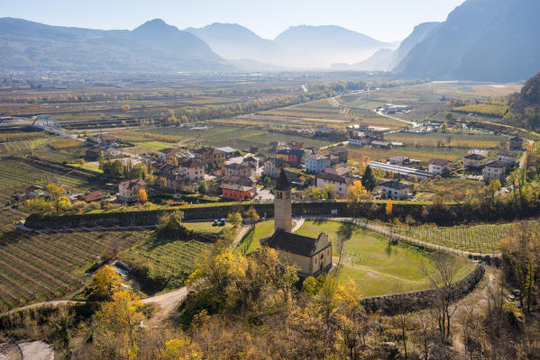 Rotaliana plain vineyards in Zambana
Europe, Italy, Trentino Alto Adige, Rotaliana plain, Zambana municipality, Trento district