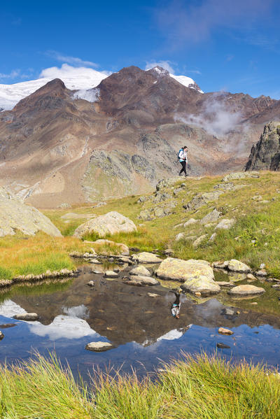 hikers in the mountains of the Ortles-Cevedale group
Europe, Italy, Trentino Alto Adige, Sun valley, Pejo district