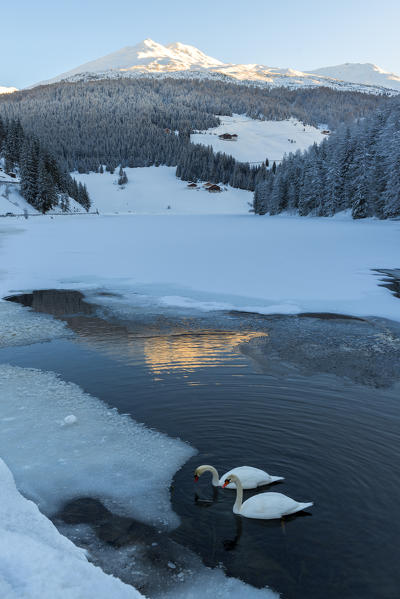 Lake Valdurna at sunrise
Europe, Italy, Trentino Alto Adige, Sarentino valley, Valdurna