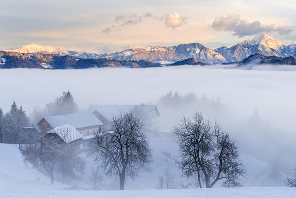 Sveti Tomaz at winter
Europe, Slovenia, Sveti Tomaz