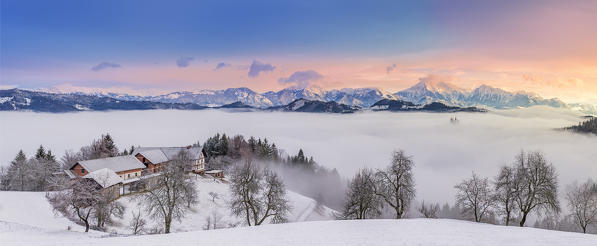 Sveti Tomaz at sunrise in winter
Europe, Slovenia, Sveti Tomaz