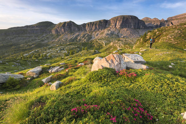 Natural Park Adamello Brenta in summer season
Europe, Italy, Trentino Alto Adige, Non valley, Cles, Trento district