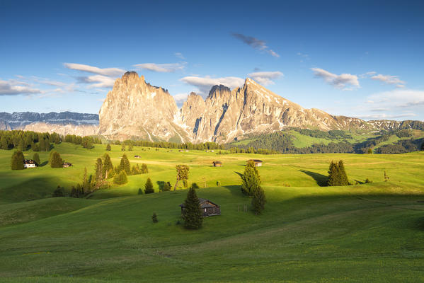 Alpe Siusi in spring at sunset
Europe, Italy, Trentino south Tyrol, Compaccio