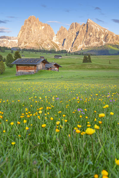 Alpe di Siusi in spring season
Europe, Italy, Trentino South Tyrol, Alpe di Siusi