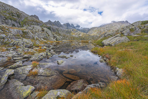 Rhaetian Alps in Nambrone valley
Europe, Italy, Trentino, Nambrone valley, Madonna di Campiglio, Sant'Antonio di Mavignola
