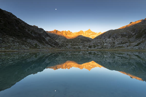 Rhaetian Alps reflected in the Cornisello lake
Europe, Italy, Trentino Alto Adige, Madonna di Campiglio, Nambrone valley, Trento district