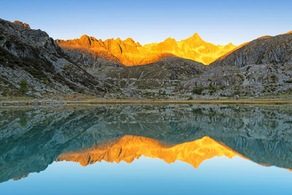 Peaks of the Rhaetian Alps reread in the lake at sunrise
Europe, Italy, Trentino Alto Adige, Madonna di Campiglio, Nambrone valley, Trento district