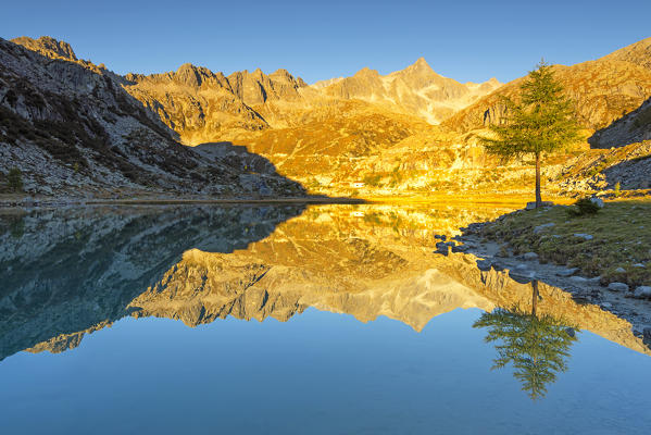 Reflexes Alpine
Europe, Italy, Trentino Alto Adige, Madonna di Campiglio, Nambrone valley, Trento district