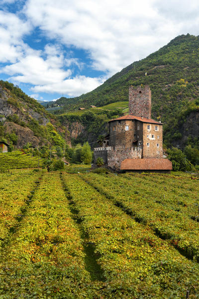 Castel Novale among the vineyards
Europe, Italy, South Tyrol, Sarentino valley, Bolzano province, Renon municipality, Sill
