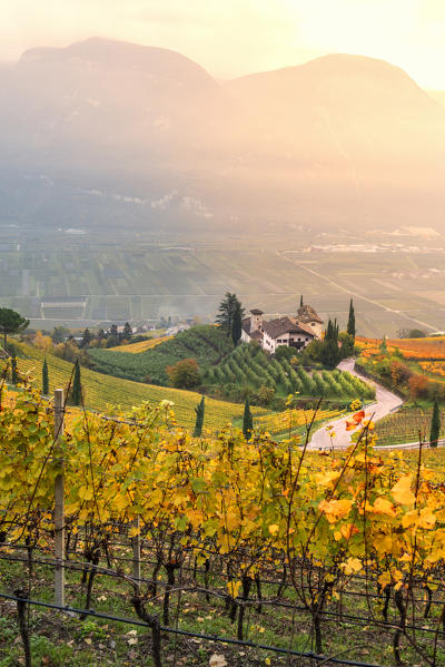 Cortaccia on the wine route
Europe, Italy, Trentino Alto Adige, Souht Tyrol, Cortaccia, Bolzano province