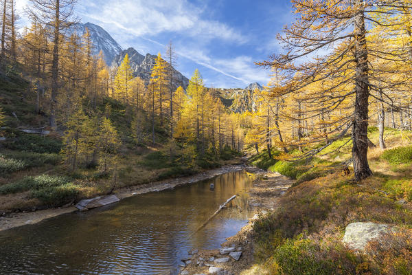 Autumnal view of the colours and reflections at Lago delle Streghe. Alpe Veglia, Val Cairasca valley, Divedro valley, Ossola valley, Varzo, Piedmont, Italy.