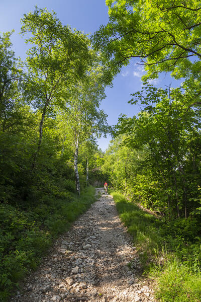 View of the trail leading to Monte Chiusarella, varesine prealps, Parco Regionale del Campo dei Fiori, Varese district, Lombardy, Italy.