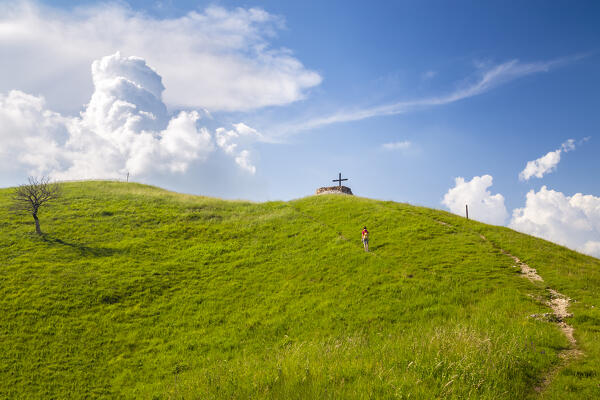 View of the trail leading to the top of Monte Chiusarella, varesine prealps, Parco Regionale del Campo dei Fiori, Varese district, Lombardy, Italy.