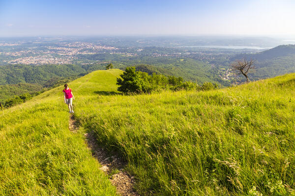 View of the trail leading to Monte Chiusarella, varesine prealps, Parco Regionale del Campo dei Fiori, Varese district, Lombardy, Italy.