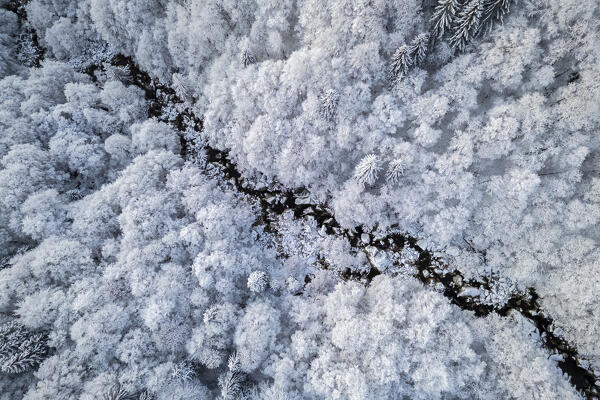 Aerial view of the woods near the Sanctuary of Oropa in winter at dawn. Biella, Biella district, Piedmont, Italy, Europe.