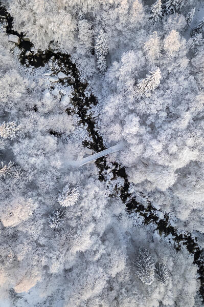 Aerial view of the woods near the Sanctuary of Oropa in winter at dawn. Biella, Biella district, Piedmont, Italy, Europe.