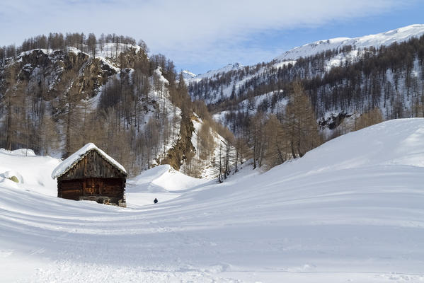 A cabin in Alpe Devero Park during winter, Valle Antigorio, Verbano Cusio Ossola, Piedmont, Italy.
