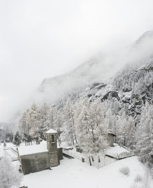 Medieval church and trees after a snowfall, San Giuseppe, Chiesa in Valmalenco, Malenco Valley, Sondrio province, Valtellina, Lombardy, Italy