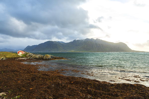 Traditional fisherman's wood hut by the sea, Gimsoy, Nordland county, Lofoten Islands, Norway