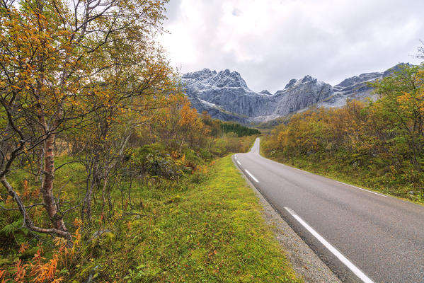 Road towards Nusfjord along colorful woods in autumn, Flakstadoya, Nordland, Lofoten Islands, Norway