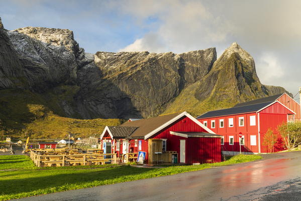 Rorbu along the coastal road, Reine, Moskenes, Nordland, Lofoten Islands, Norway