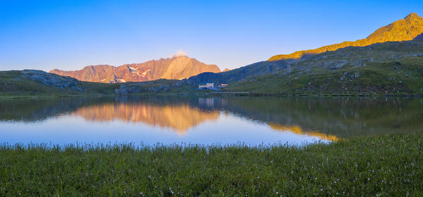 Panoramic of Cima di Pietrarossa reflected in Lago Bianco at sunrise, Gavia Pass, Valfurva, Valtellina, Lombardy, Italy