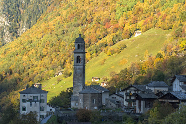 Old church surrounded by woods in autumn, Soglio, Val Bregaglia, canton of Graubunden, Switzerland