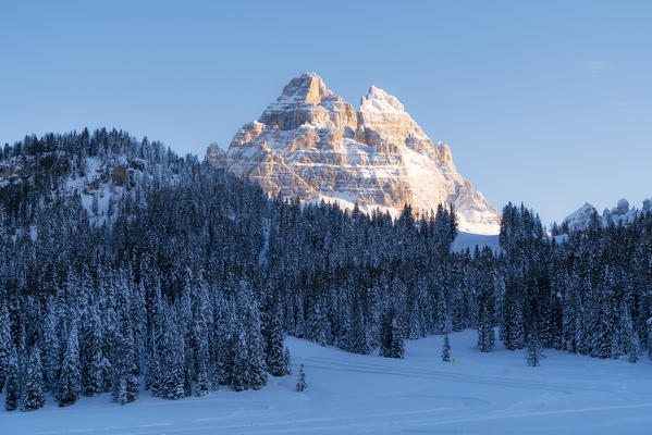 Tre Cime di Lavaredo view from the snowy woods at Misurina, Dolomites, Auronzo di Cadore, Belluno, Veneto, Italy