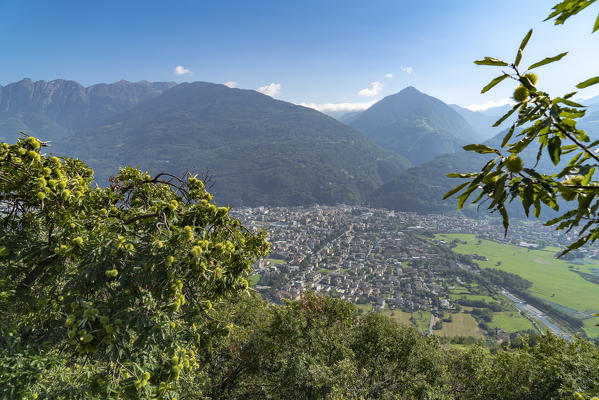 Rhaetian Alps and city of Morbegno seen from hills, Costiera dei Cech, Valtellina, Sondrio province, Lombardy, Italy