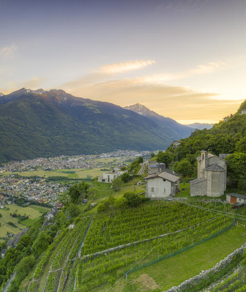 Panoramic of Rhaetian Costiera Dei Cech from vineyards to mountains, Valtellina, Sondrio province, Lombardy, Italy