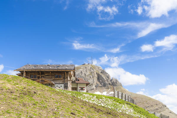 Rifugio Friedrich August in summer, Passo Sella, Dolomites, Val di Fassa, Trento province, Trentino, Italy