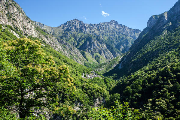 View of the Codera valley with its trees and the village of Codera, Valchiavenna, Valtellina Lombardy Italy Europe