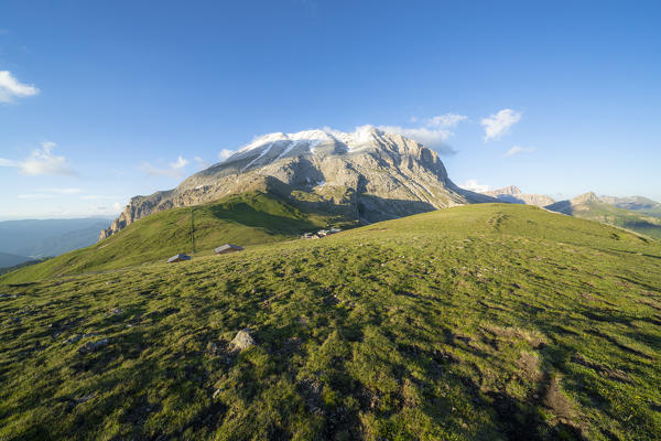 Sunset on green meadows surrounding Sassopiatto in summer, Dolomites, Trentino-Alto Adige, Italy