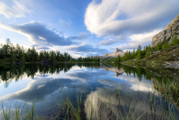 Becco di Mezzodi and woods mirrored in Lake Federa at dawn, Ampezzo Dolomites, Belluno province, Veneto, Italy