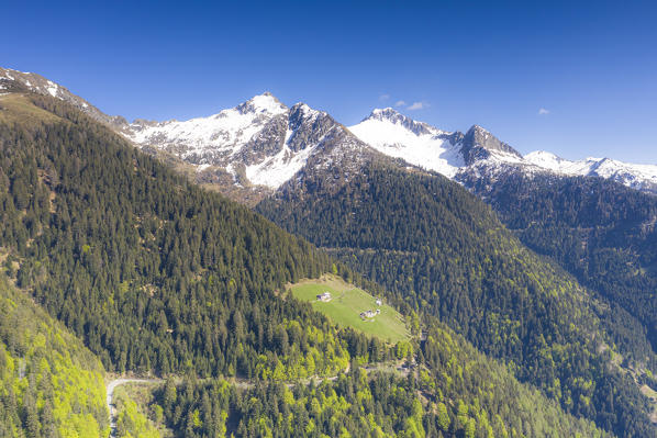 Road crossing woods towards San Marco mountain pass, aerial view, Albaredo Valley, Orobie Alps, Valtellina, Lombardy, Italy