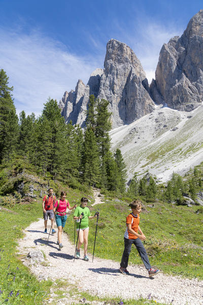 Family with children enjoying a hike on the Adolf Munkel trail at feet of the Odle, Val di Funes, South Tyrol, Dolomites, Italy