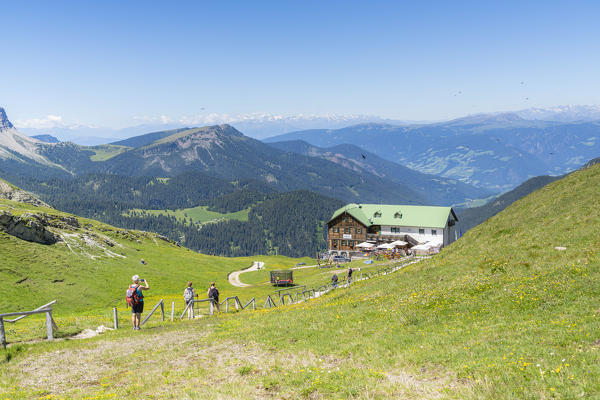 Hikers on path in the green meadows surrounding Rifugio Genova hut, Col di Poma,Val di Funes, South Tyrol, Dolomites, Italy