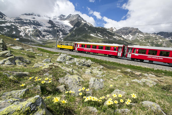 The red train, the icon of the Raethian Railway, travelling near Bernina Pass. Pontresina Engadine Canton of Graubunden
Switzerland Europe