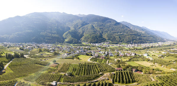 Panoramic of apple orchards in between rural villages and mountains, Valtellina, Sondrio province, Lombardy, Italy