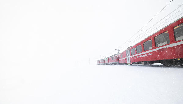 Snowflakes falling on Bernina Express train during a winter blizzard, Bernina Pass, Graubunden canton, Engadine, Switzerland