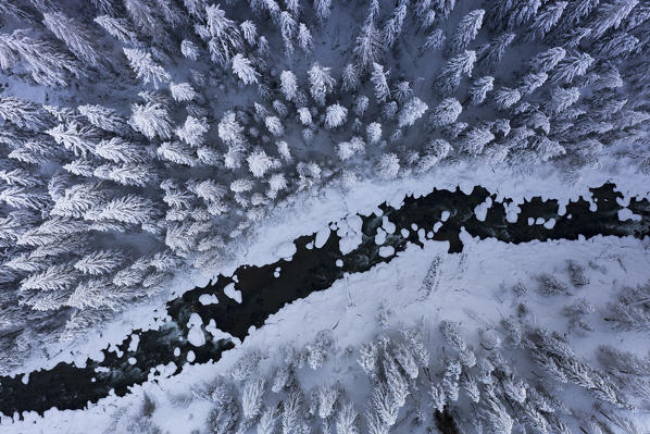 Overhead view of frozen river crossing a winter forest of fir trees covered with snow, Switzerland